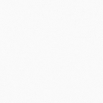 Белый ЛДСП 1158Ш-1/1 (2.75*1,83*16)