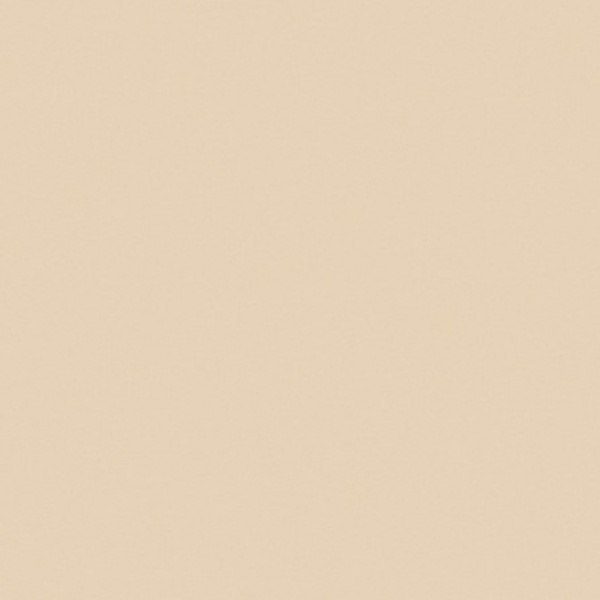 ХДФ лак.одностороняя Бежевый (2800*2070*3)