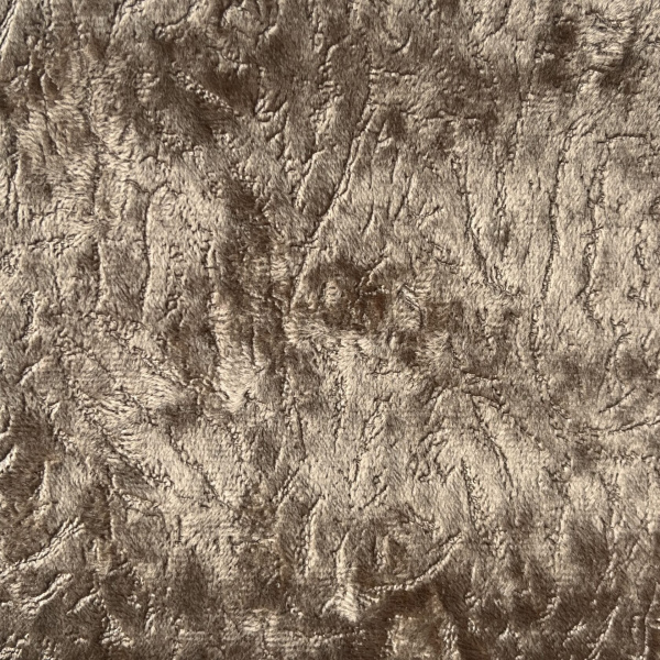 SIRIUS 04
