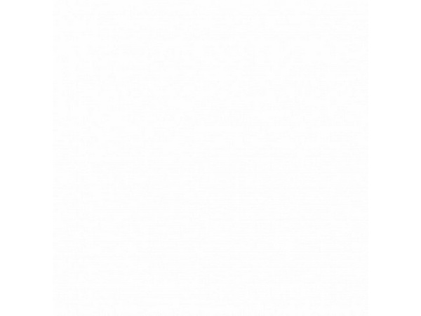 Белый ЛДСП 1158ГлубокиеПоры -1/1 (2.75*1,83*16)