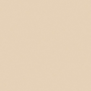 ХДФ лак.одностороняя Бежевый (2800*2070*3) [150]