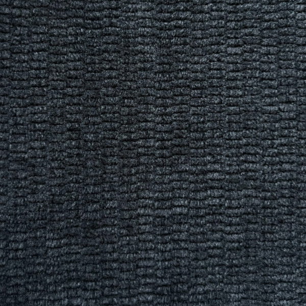 Molly 08