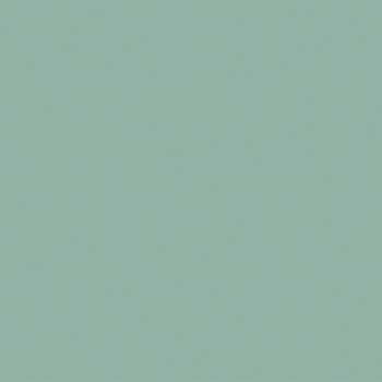 ФОРЕСТ  ЛДСП Ш-1/1 (2,75*1,83*16)