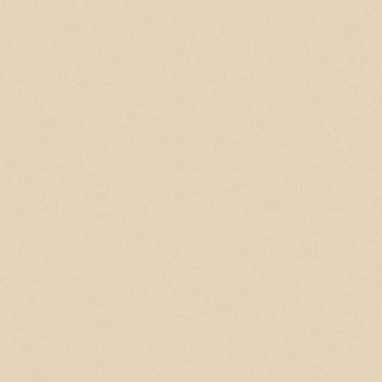 ХДФ лак.одностороняя Бежевый (2500*2070*3) [170]